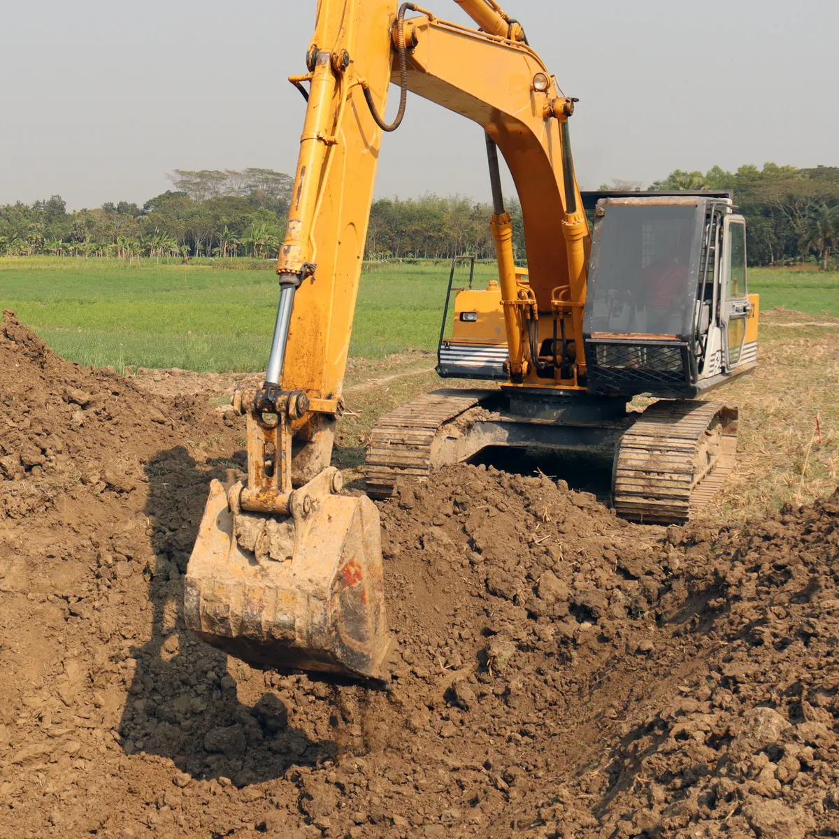 Expert Excavation
